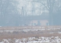 Dscf7039.1