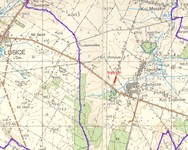 Tygrzyki