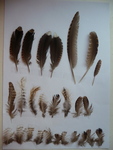 P1050318