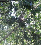 Rimg0087-2