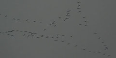 P1060198_134