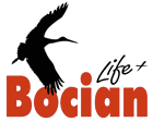 Warmińska Ostoja Bocianów
