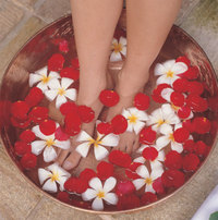 Wellness_hi-9