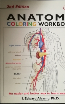 Anatomy coloring Workbook /30341/