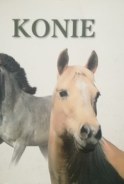Konie /33990/