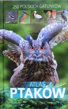 Atlas ptaków 250 polskich gatunków /113419/