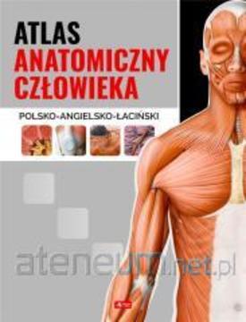 Atlas anatomiczny polsko-angielska-łaciński /114679/