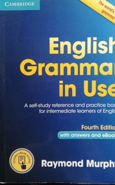 English Grammar in Use /34233/