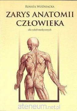 Zarys anatomii człowieka dla szkł medycznych /34378/