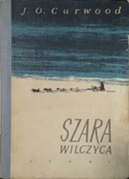 Szara wilczyca /37337/
