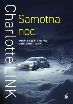 Samotna noc /40421/