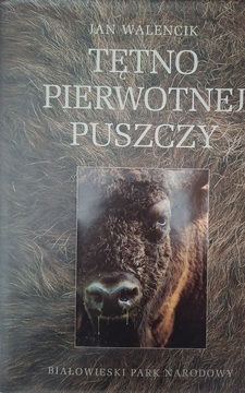 Tętno pierwotnej puszczy /41654/