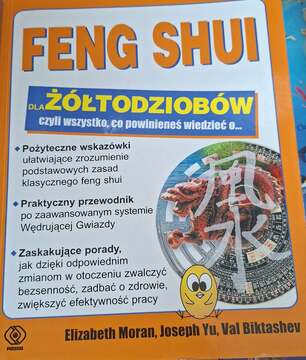 FENG SHUI dla żółtodziobów /42010/