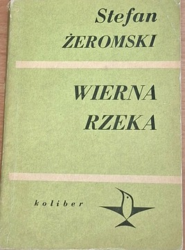 Wierna rzeka /42022/