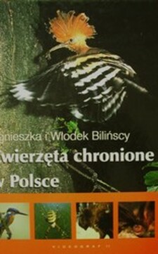 Zwierzęta chronione w Polsce 