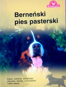 Berneński pies pasterski
