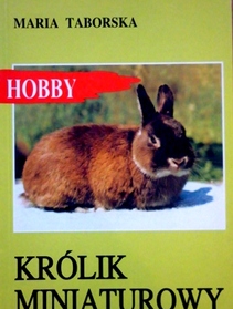 Królik miniaturowy HOBBY