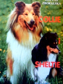 Collie i Sheltie
