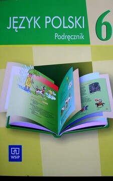 Język polski 6 podręcznik dla szkoły podstawowej specjalnej /33499/