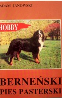 Hobby Berneński pies pasterski