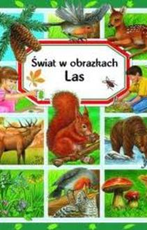 Świat w obrazkach Las