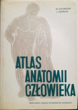 Atlas anatomii człowieka /340/