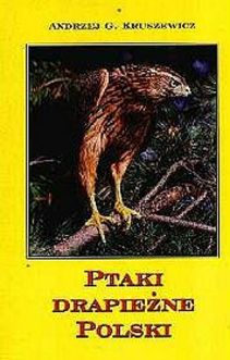 Ptaki drapieżne Polski