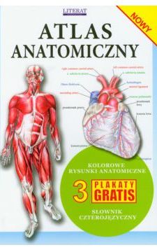 Atlas anatomiczny /113421/