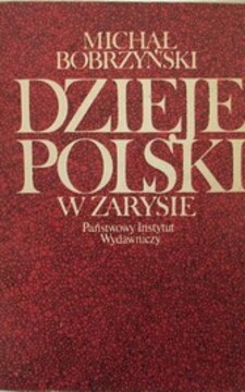 Dzieje Polski w zarysie /38576/