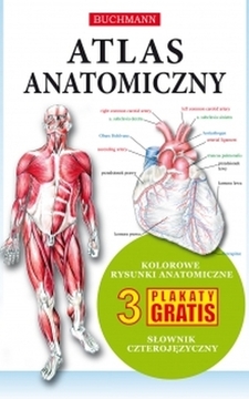 Atlas anatomiczny /111440/