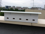 budka dla jerzyków dachowa z izolowanym dachem