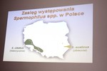 Slajd występowania susłów pokazany przez Grzegorza Wojtaszyna z „Salamandry”. Fot. Mirosław Rzępała