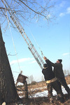 Wciąganie budki na drzewo – łąki w okolicach ujścia Muchawki do Liwca. Fot. Agnieszka Parapura