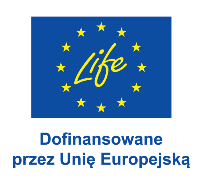 PL V Dofinansowane przez Unię Europejską_POS.png