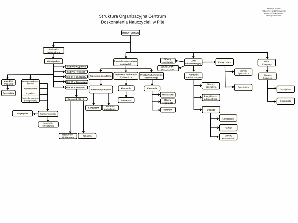 cdn_struktura.png