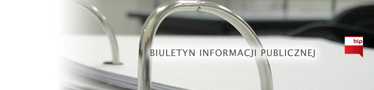 Baner Biuletyn Informacji Publicznej - Demo