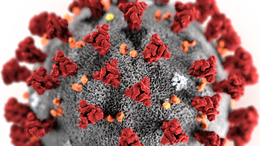 Koronavirus COVID-19