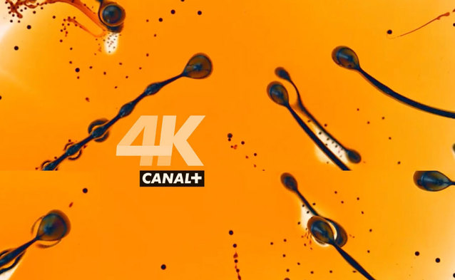 Telewizja 4K UHD - nc+