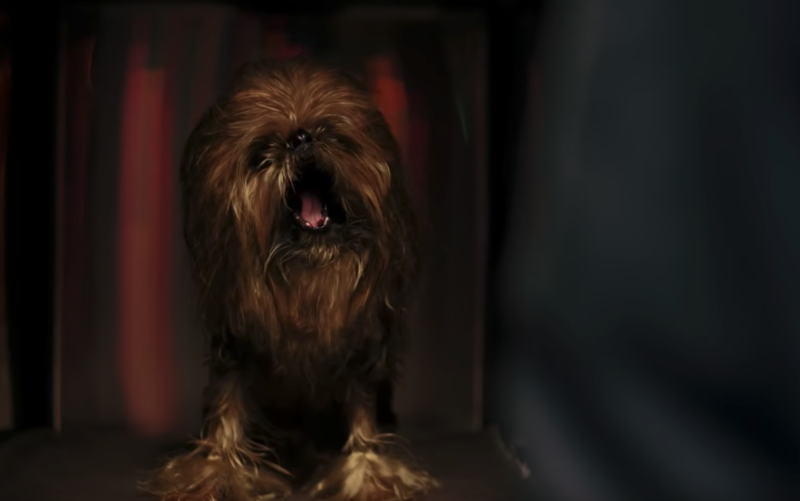 Psi Chewbacca w świątecznej reklamie Samsunga