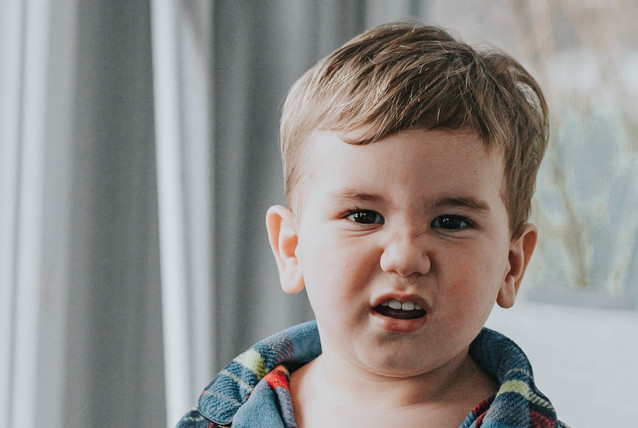 GUS chce przejąc na dniach bazę danych wszystkich klientów polskich operatorów