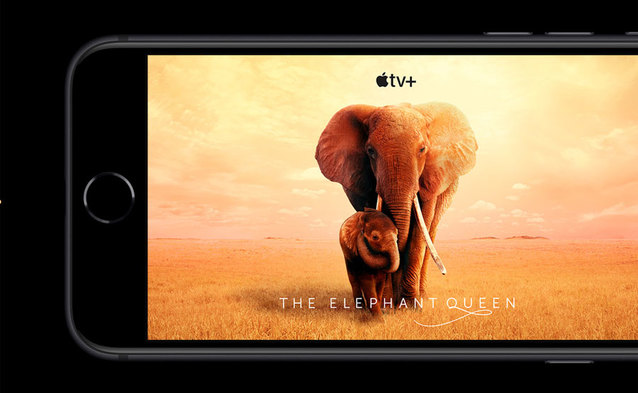 Ceny iPhone SE w Orange