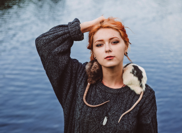 Orange walczy ze szczurami