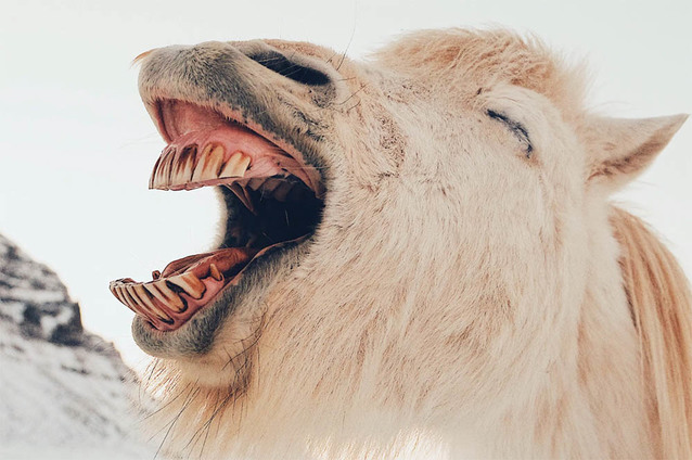 Ministerstwo Cyfryzacji jest załamane petycją z Kraśnika