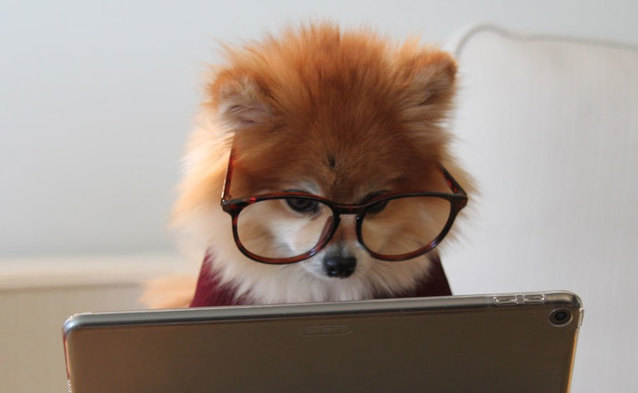 Można testować nowy speedtest UKE