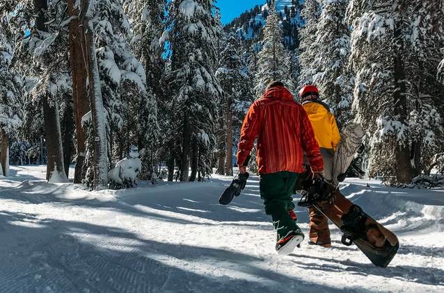 Orange Flex - EKO GB