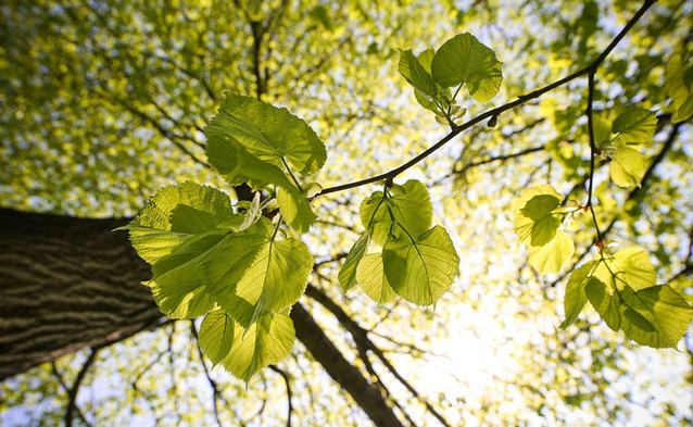 Orange przestaje foliować przesyłki do klientów