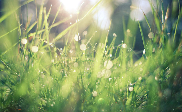 Orange Polska ogłasza swoje cele klimatyczne – redukcja emisji CO2 i więcej energii ze źródeł odnawialnych