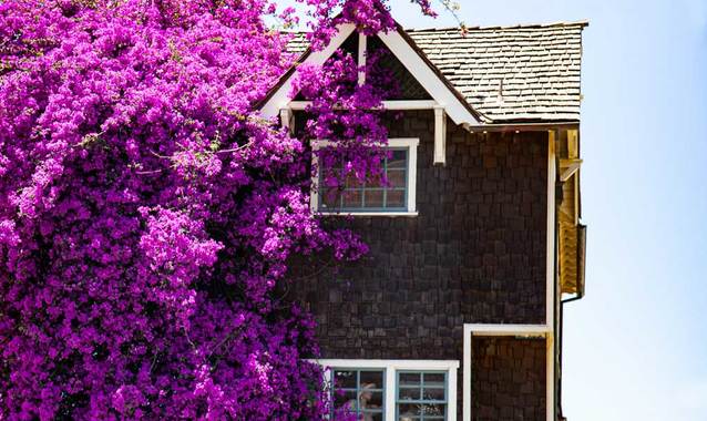 Play ma 9000 stacji bazowych