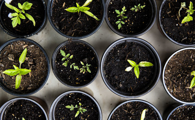 Nowa strategia ORANGE POLSKA