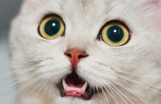 ABW: sejmowe konta posłów z wielu partii z nieautoryzowanym dostępem